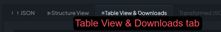 Table View & Downloads tab in JSON Explorer